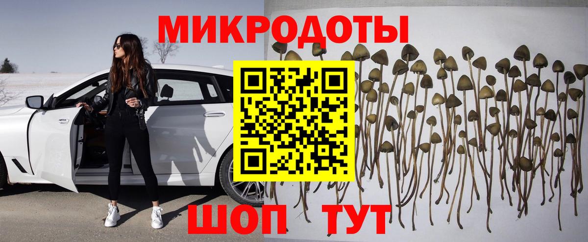 Муравленко  Псилоцибиновые грибы Psilocybine cubensis  Галлюциногенные грибы MAGIC MUSHROOMS  Вход с VPN 