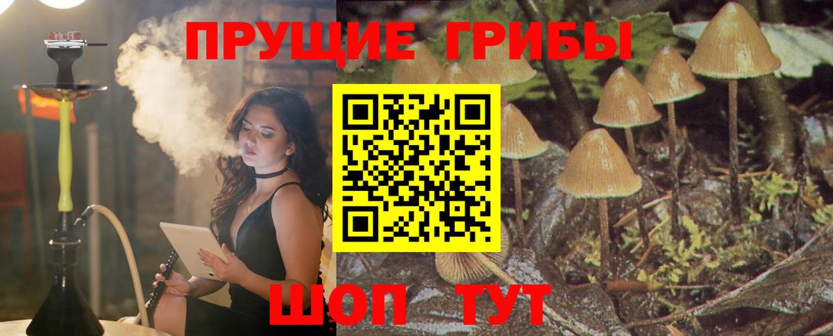 Галлюциногенные грибы мухоморы Муравленко